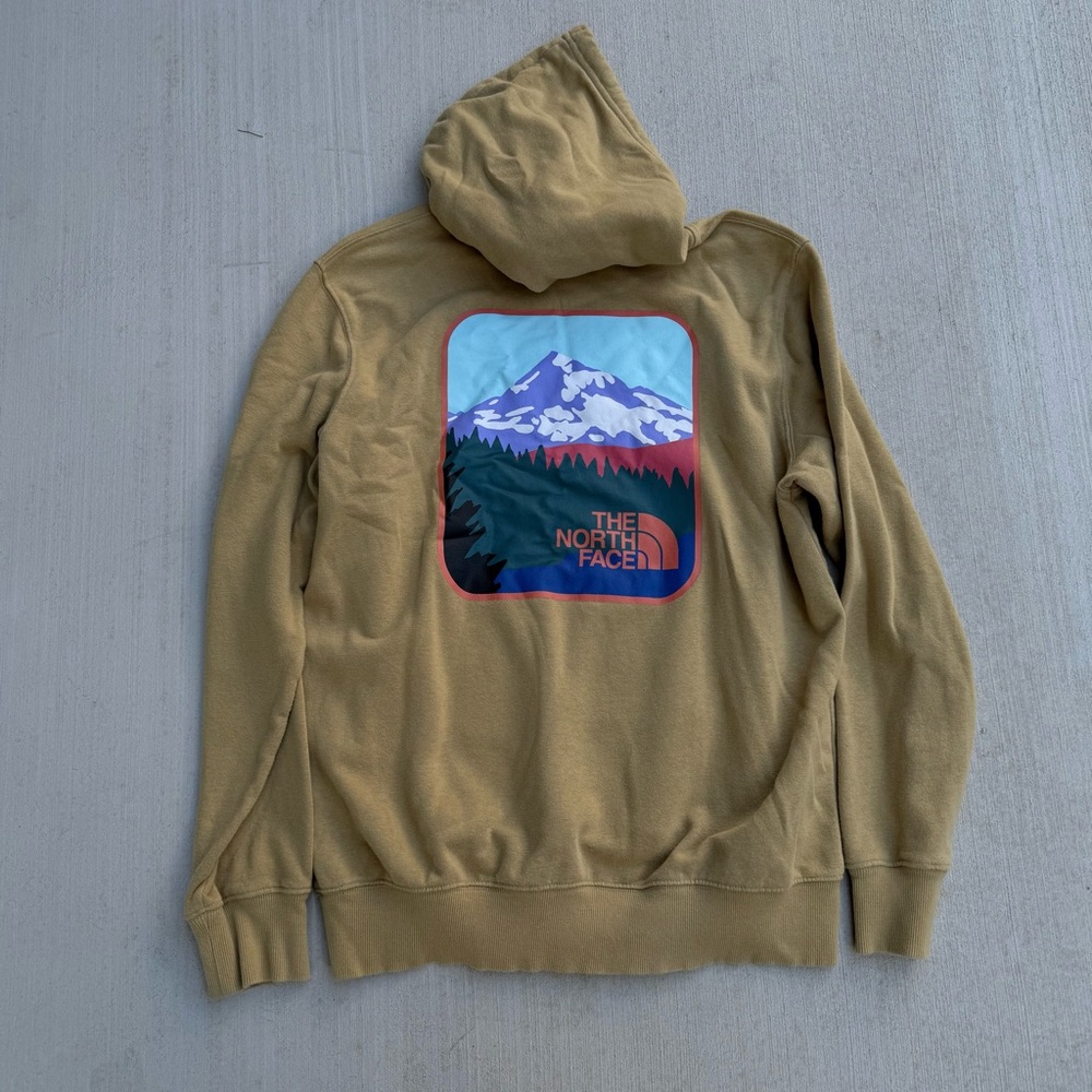 The North Face Men's Parks Pullover
Hoodie in Utility Brown - size Large
